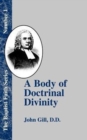 Image for A Body of Doctrinal Divinity