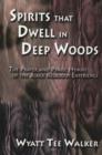 Image for Spirits That Dwell in Deep Woods