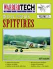 Image for Merlin-powered Spitfires