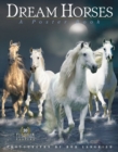Image for Dream Horses: A Poster Book