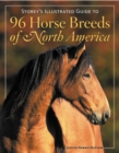 Image for Storey&#39;s illustrated guide to 96 horse breeds of North America
