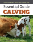 Image for Essential guide to calving  : giving your beef or dairy herd a healthy start