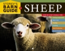 Image for Storey&#39;s barn guide to sheep