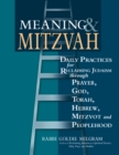 Image for Meaning and Mitzvah