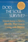 Image for Does the soul survive?: a Jewish journey to belief in afterlife, past lives &amp; living with purpose