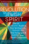 Image for Revolution of the Jewish Spirit: How to Revive Ruakh in Your Spiritual Life, Transform Your Synagogue &amp; Inspire Your Jewish Community