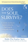 Image for Does the Soul Survive?: A Jewish Journey to Belief in Afterlife, Past Lives &amp; Living with Purpose