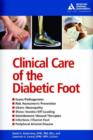 Image for Clinical Care of the Diabetic Foot