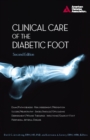 Image for Clinical care of the diabetic foot
