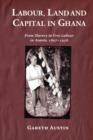 Image for Labour, land, and capital in Ghana  : from slavery to free labour in Asante, 1807-1956