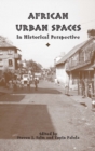 Image for African urban spaces in historical perspective