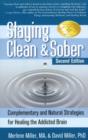 Image for Staying Clean and Sober : Complementary and Natural Strategies for Healing the Addicted Brain