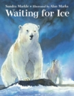 Image for Waiting for ice