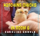 Image for Hatching chicks in room 6