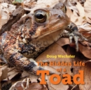 Image for The Hidden Life of a Toad