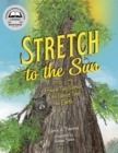 Image for Stretch to the Sun : From a Tiny Sprout to the Tallest Tree on Earth