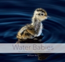 Image for Water Babies: The Hidden Lives of Baby Wetland Birds