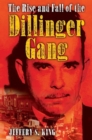 Image for The Rise and Fall of the Dillinger Gang