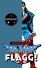 Image for American Flagg!