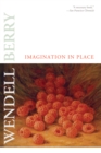 Image for Imagination in place: essays