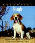 Image for The essential beagle