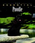 Image for The essential poodle