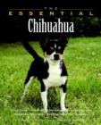 Image for The essential chihuahua