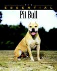 Image for The essential pit bull