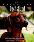 Image for The Essential Dachshund
