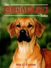 Image for The Rhodesian Ridgeback Today