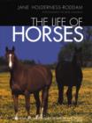 Image for The Life of Horses