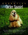 Image for The Essential Cocker Spaniel