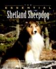 Image for The Essential Shetland Sheepdog