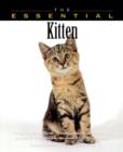 Image for The Essential Kitten