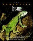 Image for The essential iguana