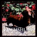 Image for The Dachshund, The : Delightful, Devoted and Diverse