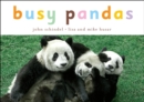 Image for Busy pandas