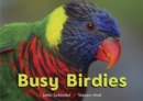 Image for Busy Birdies
