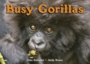 Image for Busy gorillas