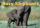 Image for Busy elephants