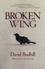 Image for Broken wing: a novel