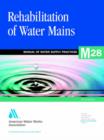 Image for Rehabilitation of Water Mains (M28)