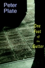 Image for One foot off the gutter  : a novel