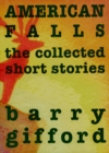 Image for American Falls  : the collected short stories
