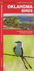 Image for Oklahoma Birds : A Folding Pocket Guide to Familiar Species