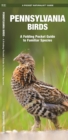 Image for Pennsylvania Birds : A Folding Pocket Guide to Familiar Species