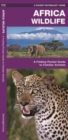Image for African Wildlife : A Folding Pocket Guide to Familiar Species