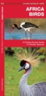 Image for African Birds : A Folding Pocket Guide to Familiar Species