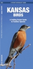 Image for Kansas Birds : A Folding Pocket Guide to Familiar Species