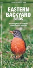 Image for Eastern Backyard Birds : A Folding Pocket Guide to Familiar Urban Species